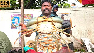 KASIMEDU 🔥 SPEED SELVAM | BIG CRAB CUTTING | IN KASIMEDU | 4K VIDEO | FF CUTTING 🐠🔪🐟