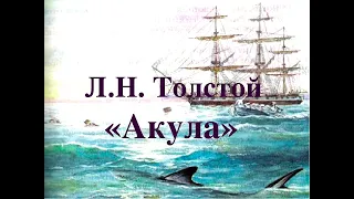 Акула   Толстой