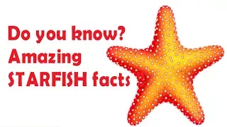 Starfish facts for kids - facts about sea star for children - Simply E-learn Kids