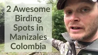 2 Excellent Birding Locations in Manizales Colombia