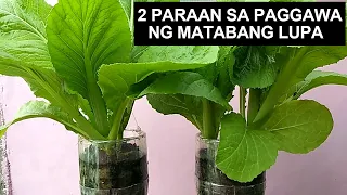 PAANO ANG PAGGAWA NG MATABANG LUPA I ITO ANG GINAGAMIT KO SA GARDEN