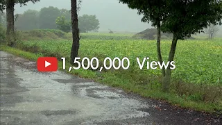 💧[4K] Heavy Rain on a country road. Rain Sounds for Deep Sleep . Relaxation .Ultimate Stress Relief