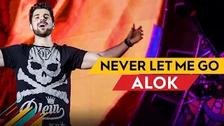 Never Let Me Go - Alok - Villa Mix Belo Horizonte 2017 ( Ao Vivo )