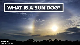 Sun dogs and halos | Weather Wise Lessons