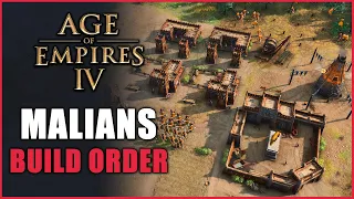 MALIANS BUILD ORDER - Standard Opener - Age of Empires 4 Gameplay
