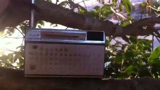 Xodó! Rádio portátil National Panasonic T-801B - Sintonia da CRI
