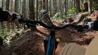 Alsea Falls Oregon Chutes & Ladders Trail: Super fun Jump Line