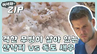 [어서와ZIP] 격한 무빙이 살아 숨쉬는 산낙지 vs 독도 새우 l #어서와한국은처음이지 l EP.105,109