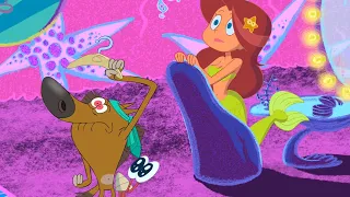 Zig & Sharko | CAUGHT IN THE ACT (S01E08) New Episodes in HD