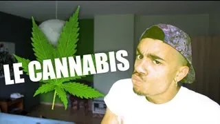 MISTER V - LE CANNABIS