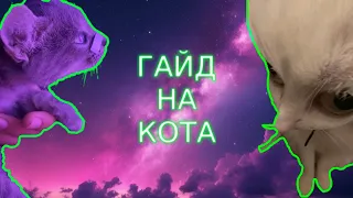 ГАЙД НА КОТА