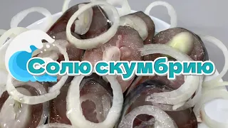 ►︎ Солю скумбрию