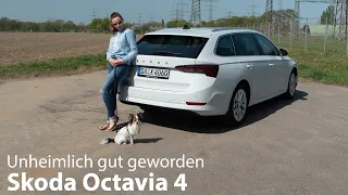 2020 Skoda Octavia Combi 2.0 TDI (150 PS /360Nm) 7-Gang-DSG Test / Hut ab dafür [4K] - Autophorie