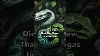 Who are the Nagas in Hinduism?