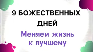 9  Божественных дней. Меняем судьбу к лучшему | Тайна Жрицы