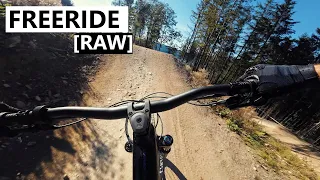 Bikepark Willingen - Freeride [RAW MTB]