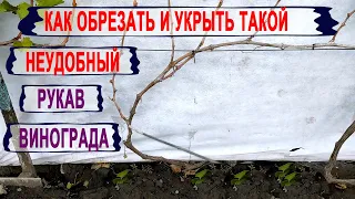 🍇 Обрезка винограда. Как УВЕЛИЧИТЬ УРОЖАЙ. Формирую и обрезаю НЕУДОБНЫЕ  рукава над головой куста.