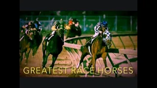 Greatest Racehorses Of All Time - Top 10
