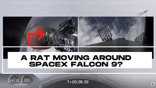 A RAT MOVING AROUND SPACEX FALCON 9?