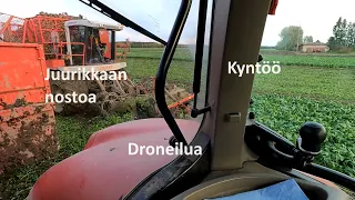 Juurikkaan Nostoa, Kyntöä ja Droneilua