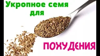 Укропное семя для похудения и снижения давления