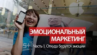 Эмоциональный маркетинг часть 1. Откуда берутся наши эмоции.