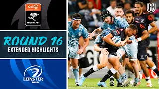 Cell C Sharks v Leinster | Extended Highlights | Round 16 | URC 2021/22