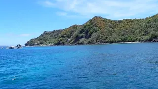 Diving island @ Apo of dauin