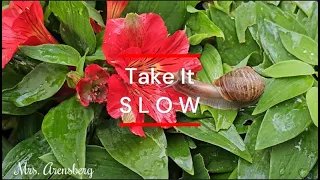 Take It Slow- Snails Quiet Music- Mrs. Arensberg