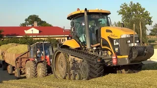 Kukorica silózás 2017 | Ensilage de Maïs 2017 | 2x Rába Steiger + Claas Jaguar 830