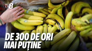 Cum au fost depistate pesticidele în cele 23 tone de banane și care sunt noile reglementări ANSA