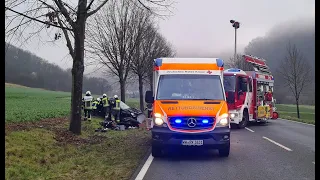 Tödlicher Unfall: 29-Jährige prallt gegen Baum