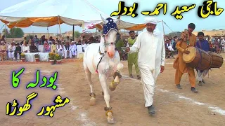 Most Beautiful & Famous Horse | Late Aslam Bodlaa | Very Amazing Culture Dance | Super Hit  Ghoda |