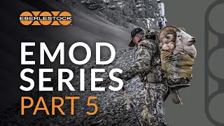 EMOD Part 5, Accessories of the Modular System