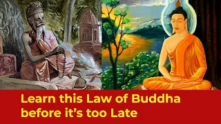 This Law of Buddha can Save Your Life :  Inspirational stories of Buddha (The Law of Karma)