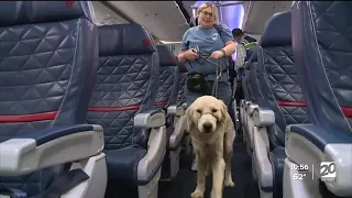 Puppies training to be future assistance dogs earn their wings at DTW