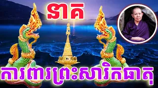 នាគ១គូរ​ ចាំយាមថែរក្សាព្រះសារិកធាតុ​ នៅភ្នំនាងលេម​ ស្រុករតនមណ្ឌល​ ខេត្តបាត់ដំបង