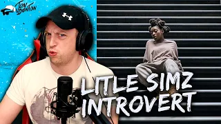 HOLY SH**!! | Little Simz - Introvert REACTION!!!