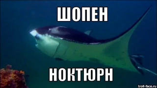 шопен ноктюрн музыка для души