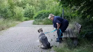 ГЕРМАНИЯ🇩🇪.УКРАИНСКИЕ 🇺🇦БЕЖЕНЦЫ. ДЛЯ МОЕЙ ЖО🍑 ВАННА🛁 МАЛОВАТА