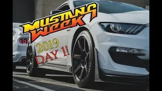 Mustang Week  Day 1!