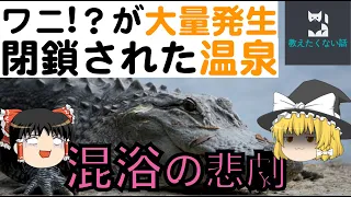 不動の湯という露天風呂が閉鎖された理由【ゆっくり解説】