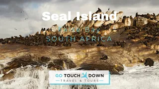 Seal Island, False Bay - SOUTH AFRICA