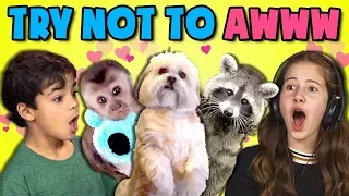 KIDS REACT TO TRY NOT TO AWW CHALLENGE #3