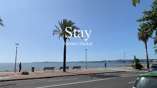Morten Harket-Stay (lyrics)