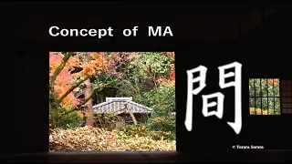 The Gardens of Kyoto [ Highlights ] Japanese MA Concept. 京都の庭園ー総集編『間』