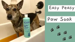 How To Give An Easy Peasy Paw Soak
