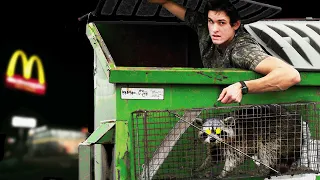 DUMPSTER Raccoon Trapping Challenge!