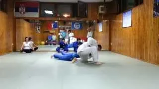 Realni Aikido - Polaganje za 5. Kyu, žuti pojas (TEHNIKE)