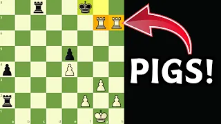 Why Pigs Are So Good In Chess